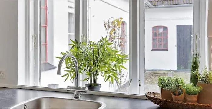 Charming Close To The *